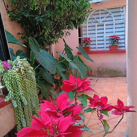 Ferienwohnung Relax Mexiko-Stadt Exterior foto