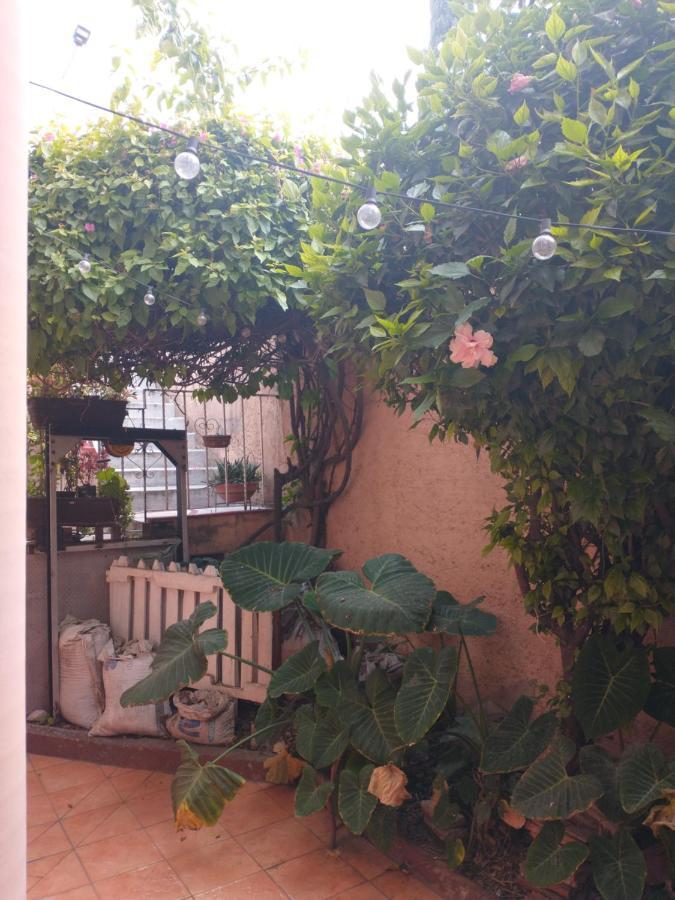 Ferienwohnung Relax Mexiko-Stadt Exterior foto