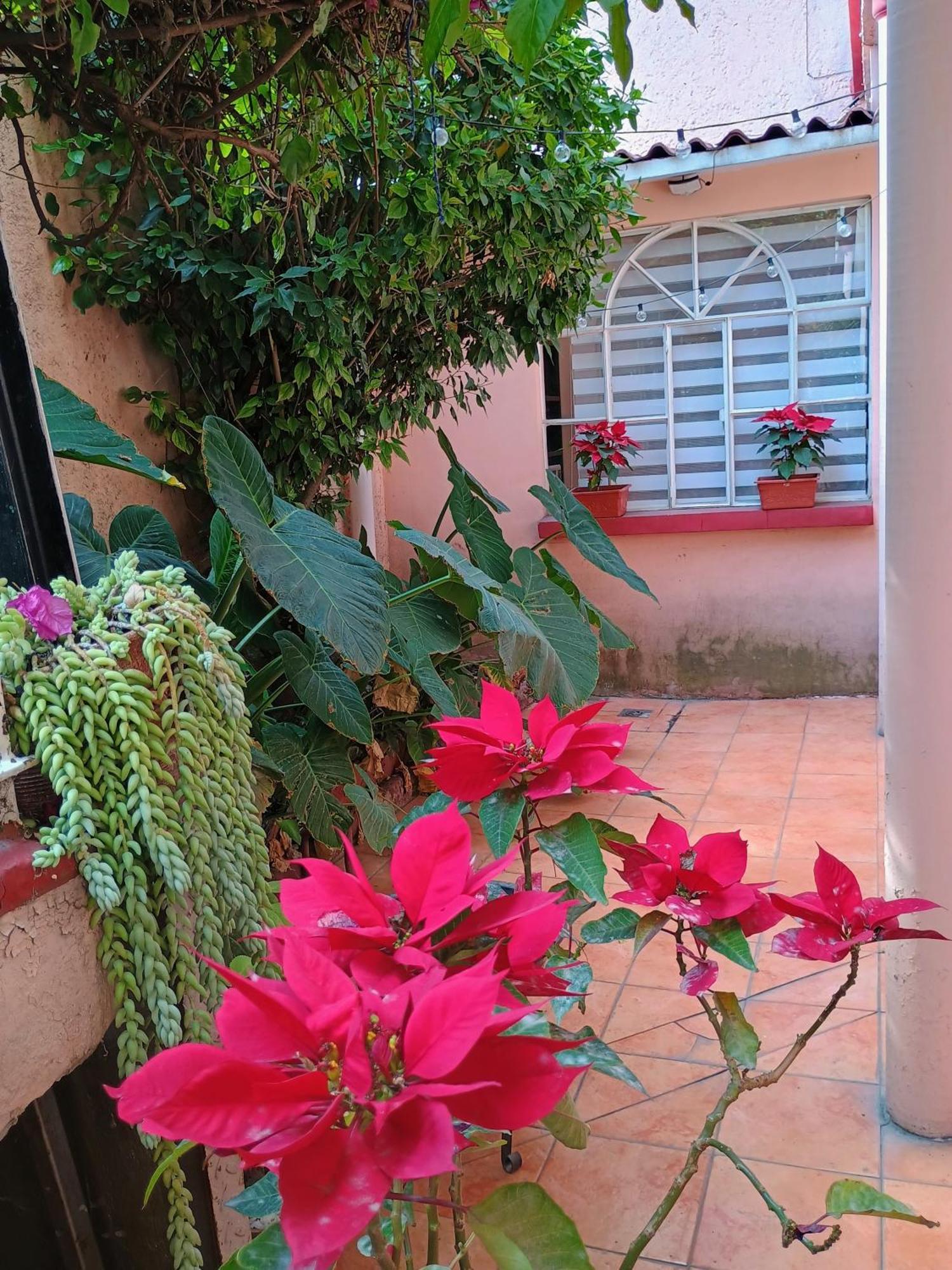Ferienwohnung Relax Mexiko-Stadt Exterior foto